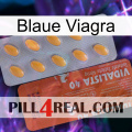 Blaue Viagra 43